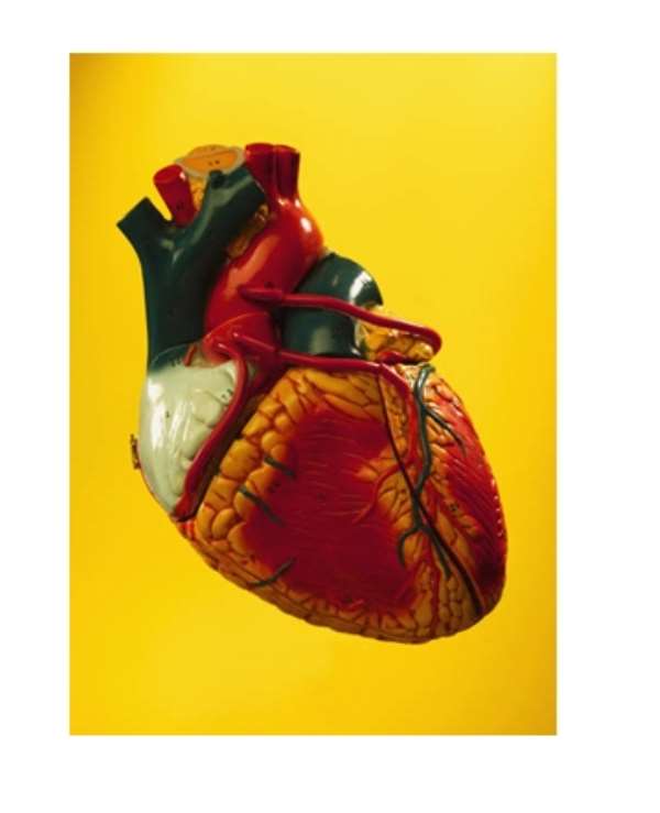 World Heart Day, Be A Heart Hero: Small Changes, Bigger Impacts